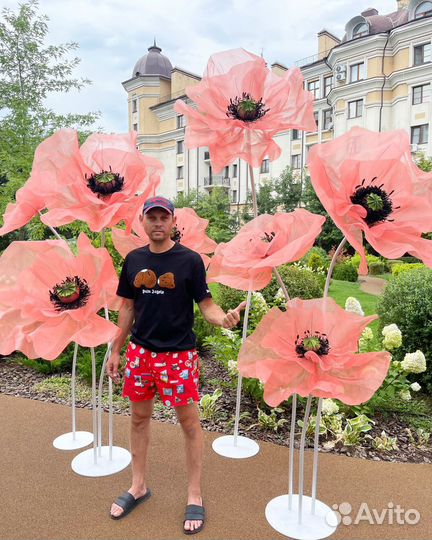 Ростовые цветы