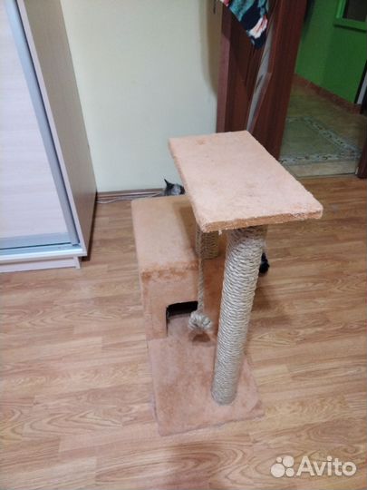 Когтеточка с домиком бу мало