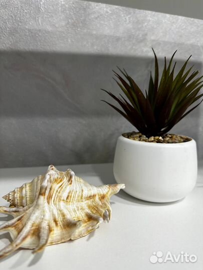 Антицеллюлитный Медовый Пилинг