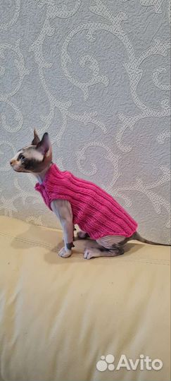 Лежанка и одежда для кошки