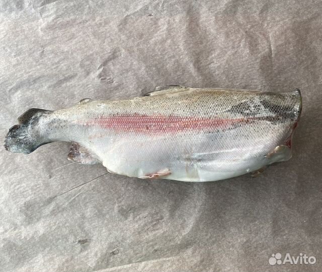 Рыба и морепродукты