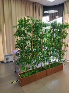 Искусственное дерево. Бамбук 180 см