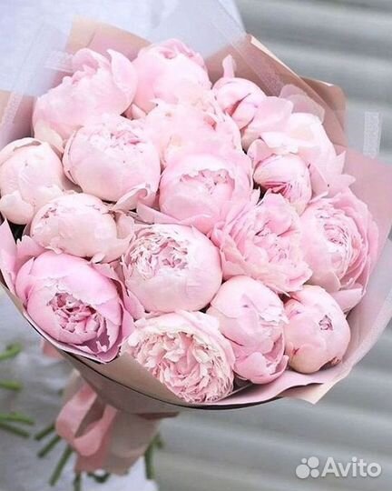 Пионы Букеты Цветы Доставка