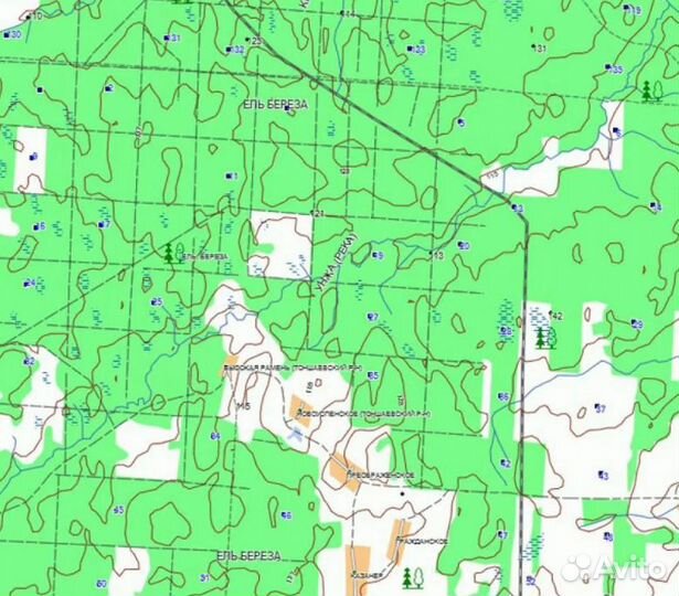 Карта для Garmin Дороги России топо