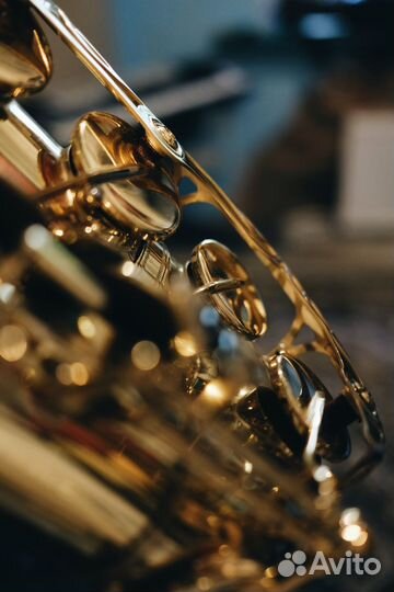 Уроки саксофона Рублево-Успенское, Новая Рига