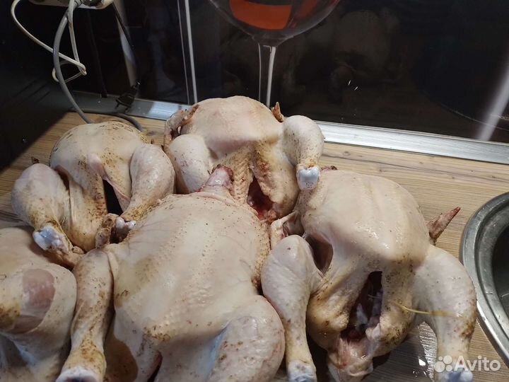 Курочка домашняя