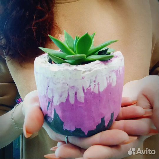 Кашпо для суккулентов