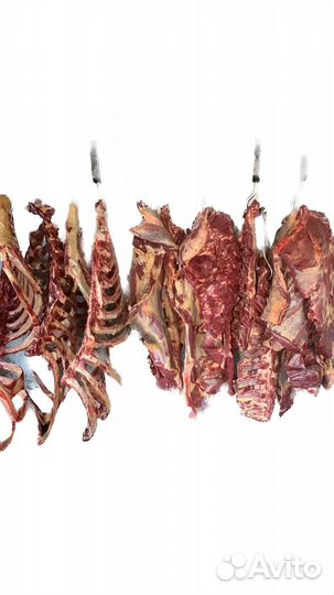 Обваленное Мясо Халяль (мясо без кости)