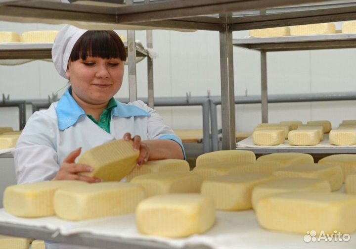 Разнорабочие с ежедневной выплатой.Подработка