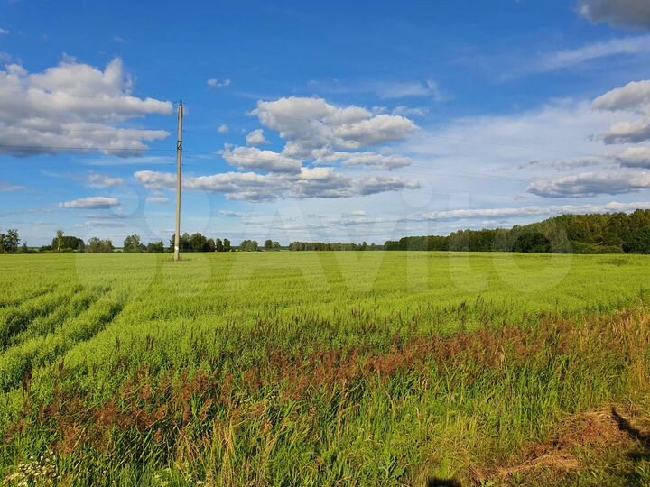 Участок 5 га (СНТ, ДНП)