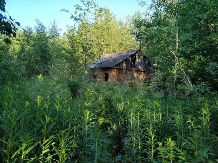 Участок 18 сот. (СНТ, ДНП)