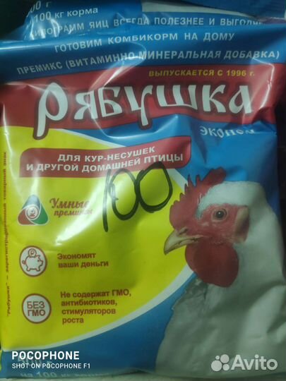 Здравур несушка,крепковит, Борька