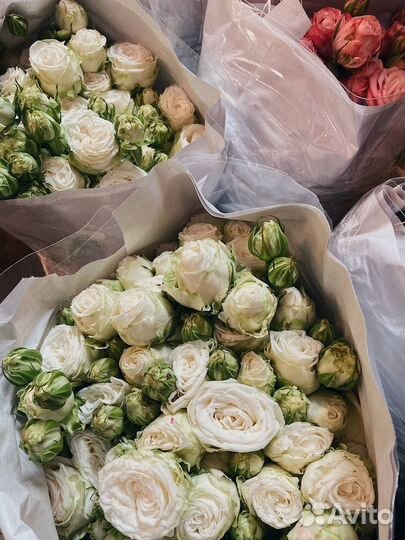 Букеты из Роз Цветы и компощиции с доставкой