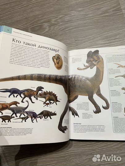 Книга динозавры