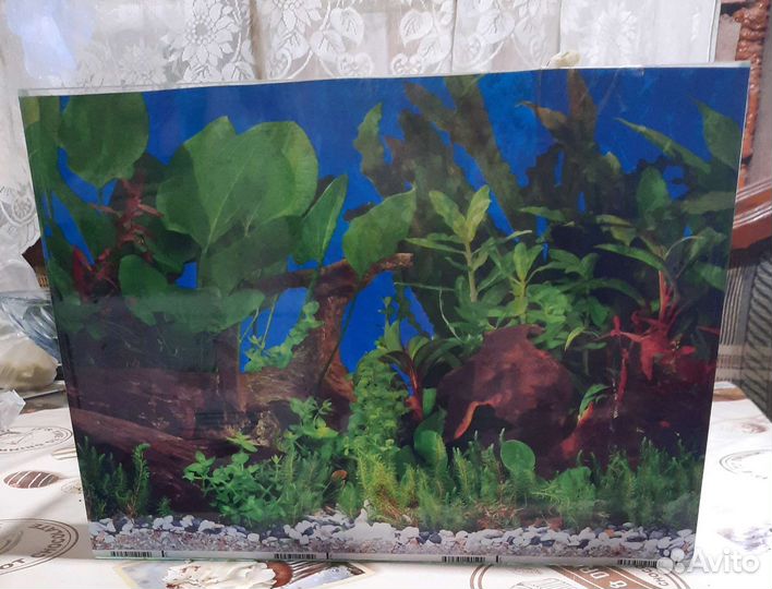 Аквариум