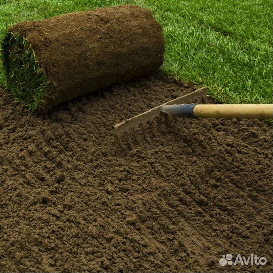 Грунт для газона