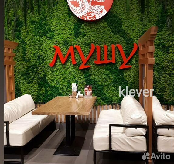 Мох на стене