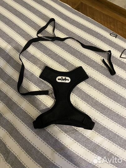 Шлейка для собак и кошек новая