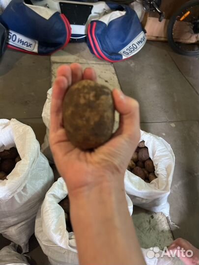 Картофель деревенский