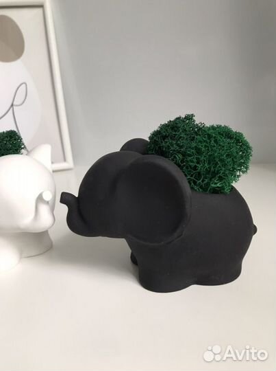 Кашпо слоник+ мох