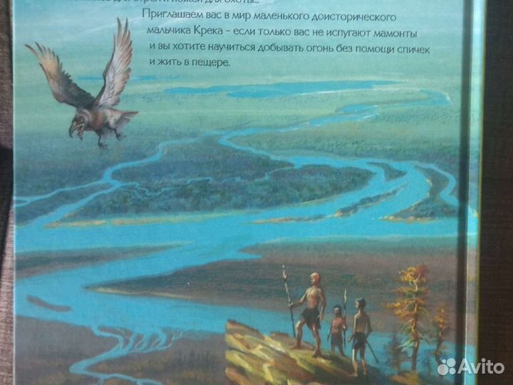 Книга Приключения Доисторического мальчика