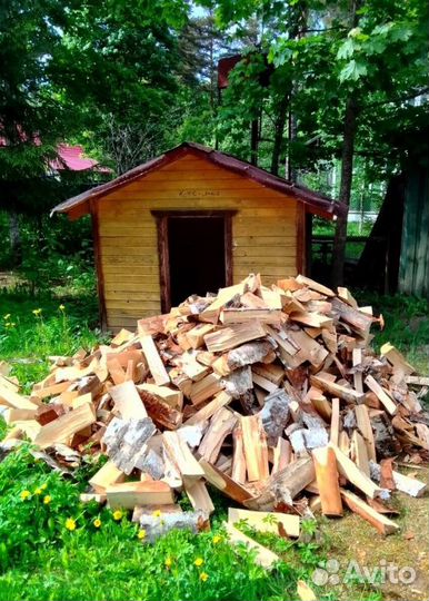 Дрова Осина привезем качественные