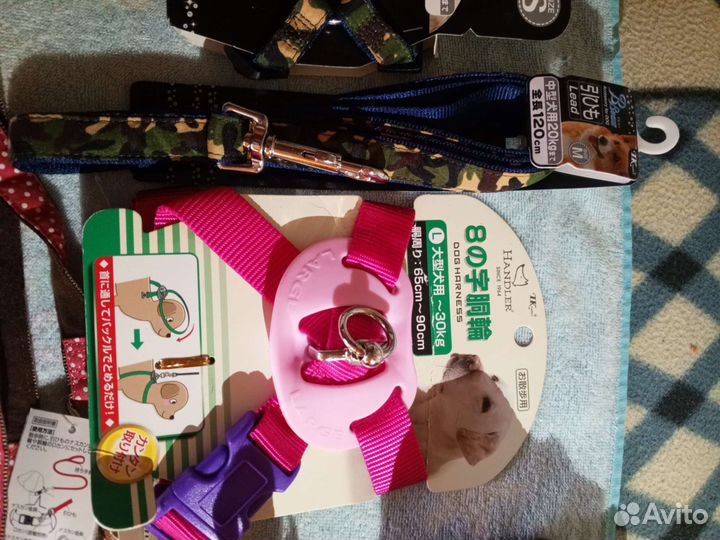 Аксессуары для собак и кошек