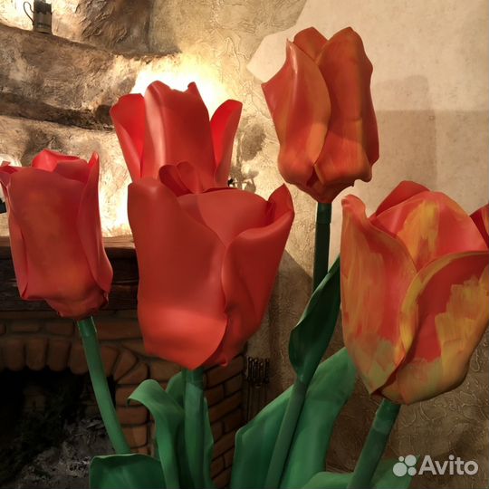 Тюльпаны ростовые
