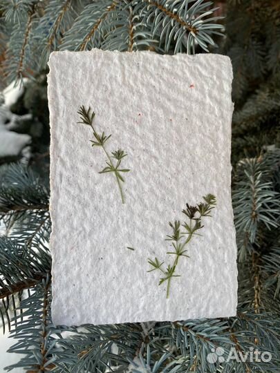 Открытки с сухоцветами