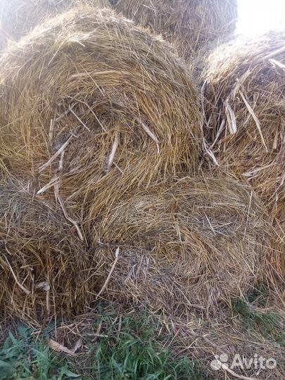 Сено луговое