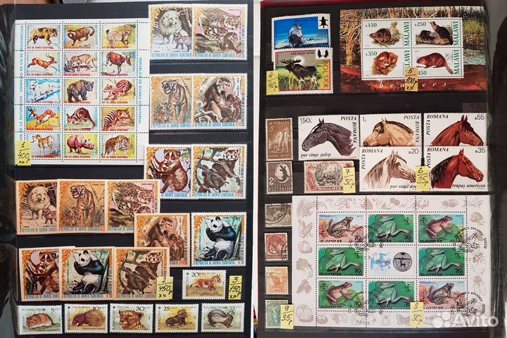 Марки. Фауна. Набор №1