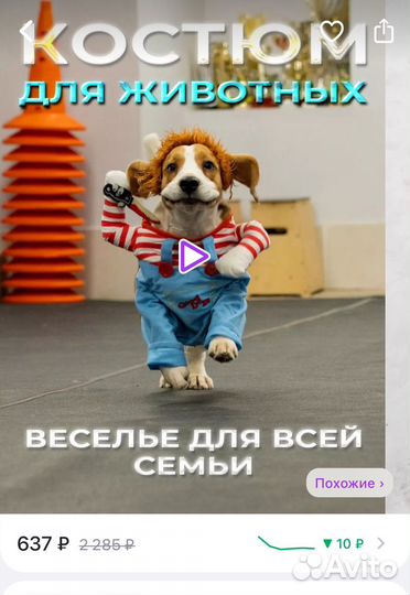 Костюм для собаки новый