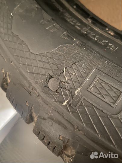 Gislaved Nord Frost 5 195/65 R15