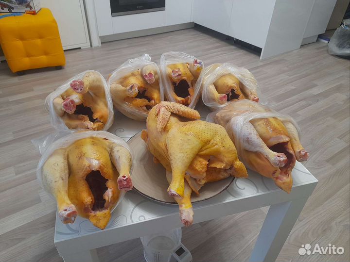 Мясо домашней курицы