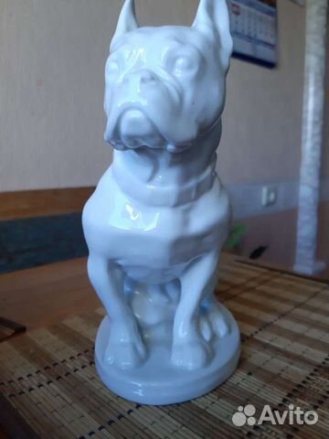 Собака бульдог СССР