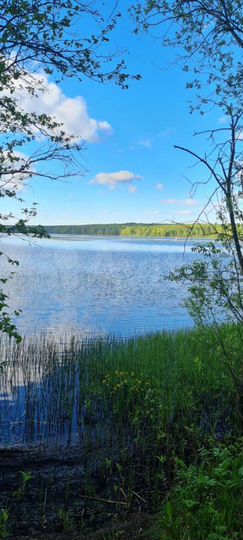 Дом 74 м² на участке 20 сот.