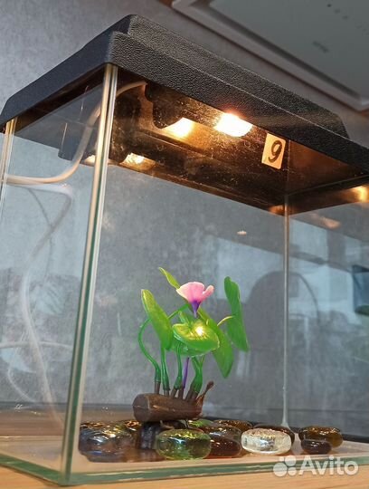 Аквариум для рыбок прямоугольный с подсветкой