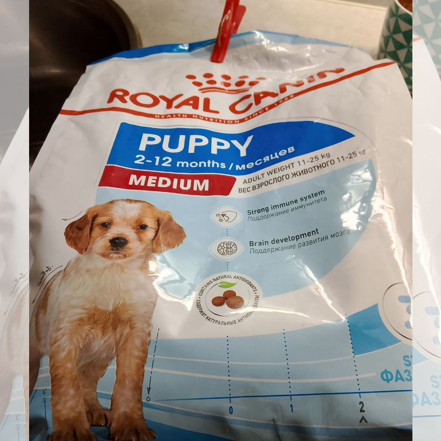 Корм для собак royal canin