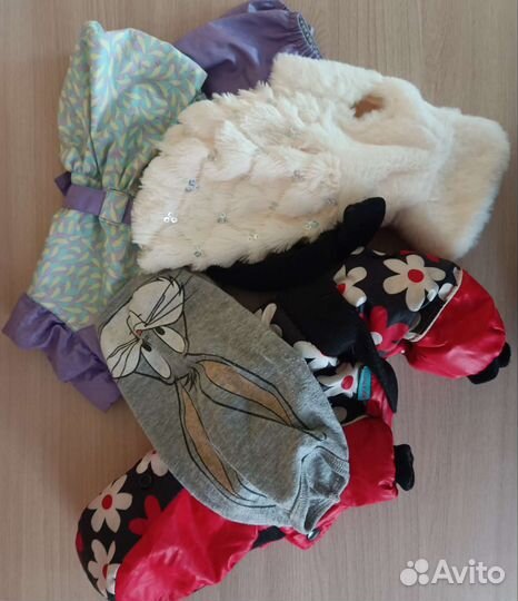 Одежда для маленькой собачки пакетом