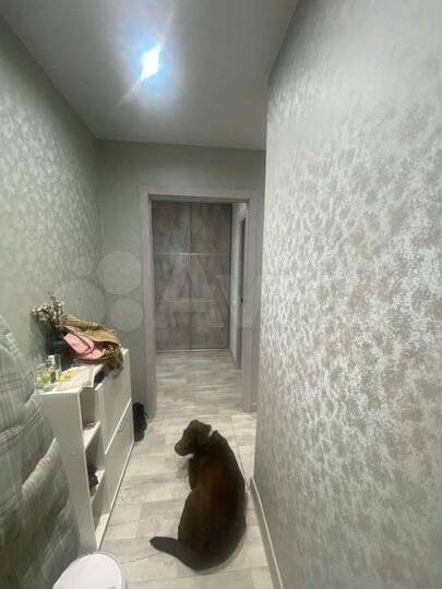 2-к. квартира, 42,8 м², 4/5 эт.