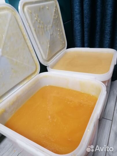 Свежий мед 2023года