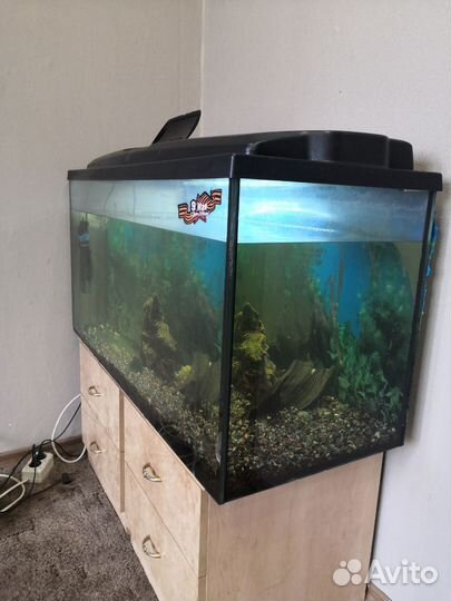 Аквариум
