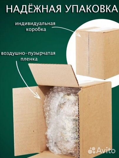 Чистейший мед Белой Акации