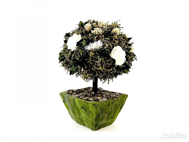 Топиари с белыми розами Стабилизированные цветы