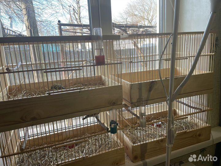 Клетка для птиц из дерева