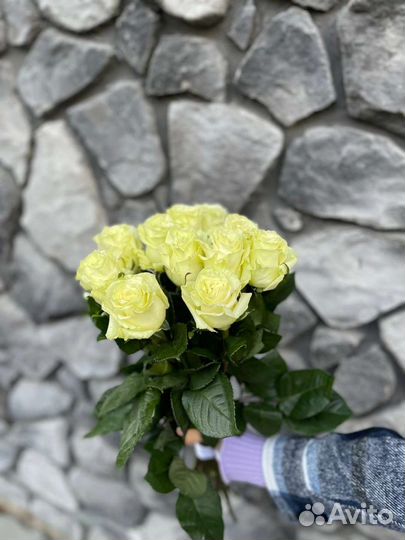 Цветы розы букет