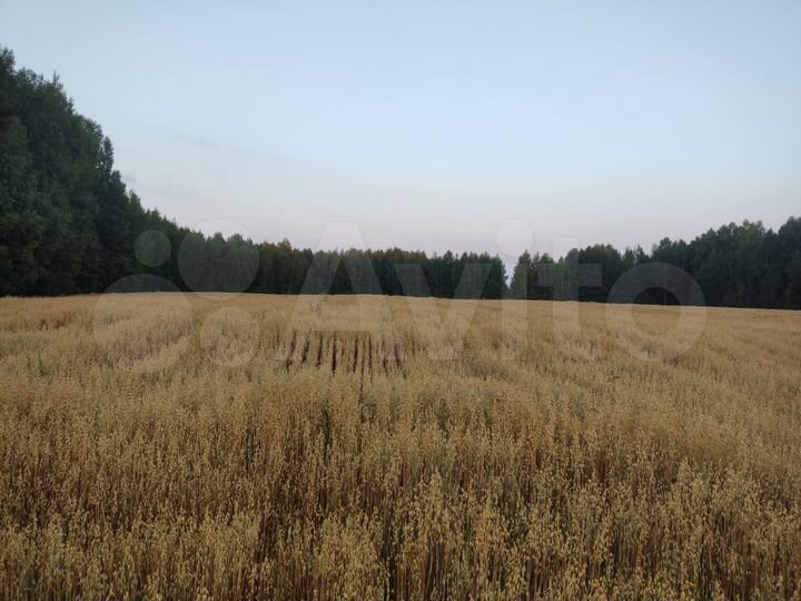 Участок 6,3 га (СНТ, ДНП)