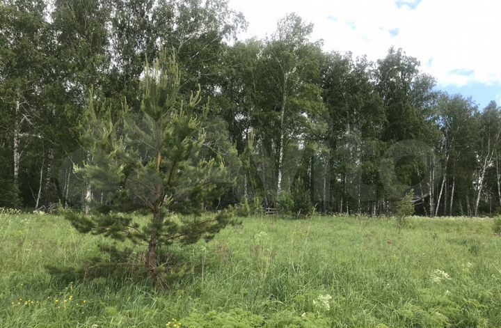 Участок 1,12 га (СНТ, ДНП)