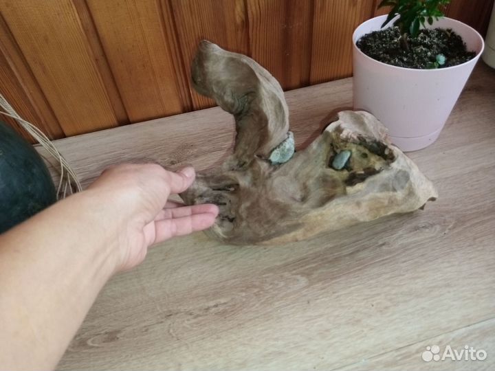 Большая коряга