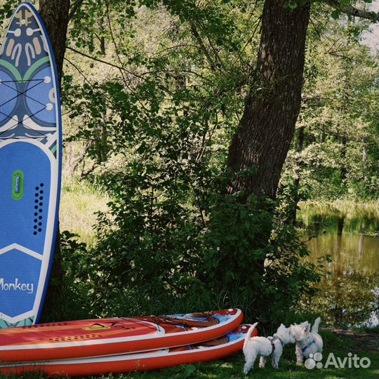 Аренда сап борда sup board